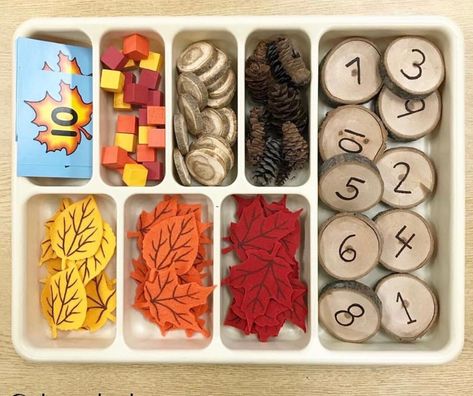 Fall Sensory Table Ideas, Fall Sensory Table, Fall Prek, Sensory Table Ideas, Math Centres, Fall Sensory, Fall Preschool Activities, Fall Math, Tree Study