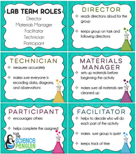 Free Science Lab Team Roles-- classroom management win! Biology Ideas, 2023 Classroom, The Science Penguin, Newton's Laws, Sixth Grade Science, Science Penguin, Middle School Science Classroom, Science Room, Visible Learning