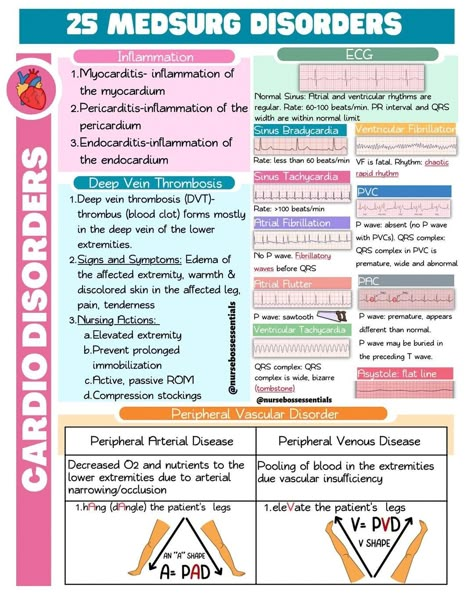 Cardio Nursing, Nursing School Studying Cheat Sheets, Med School Study, Nurse Skills, Nursing Cheat, Nursing Motivation, Nursing School Essential, Nurse Study Notes, Nursing Student Tips