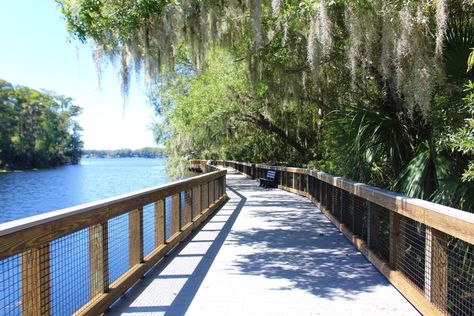 15 Best Things to Do in Palm Harbor, FL - Travel Lens Palm Harbor Florida, Honeymoon Island, Splash Park, Tarpon Springs, Spring Park, Gulf Of Mexico, Water Activities, Outdoor Adventure, Golf Course