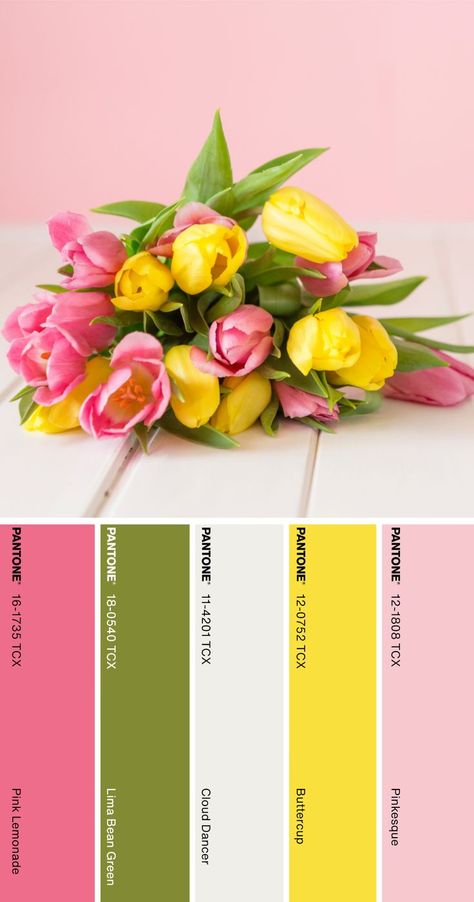 Tulip Color Palette, Pantone Flower, Color Palette Pantone, Pantone Color Palette, Flower Signs, Beach House Colors, Tulips Spring, Tulip Colors, Pantone Colour Palettes