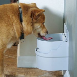 Automatic Dog Waterer, Automatic Waterer, Dog Water Bowl, Pet Water Bowl, Pet Fountain, Dog Water Dispenser, Water Station, Dog Water Bowls, Clean Drinking Water