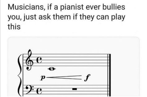 Piano Memes, Choir Humor, Musician Memes, All For Us, Musician Humor, Marching Band Humor, Band Jokes, Music Jokes, Music Nerd