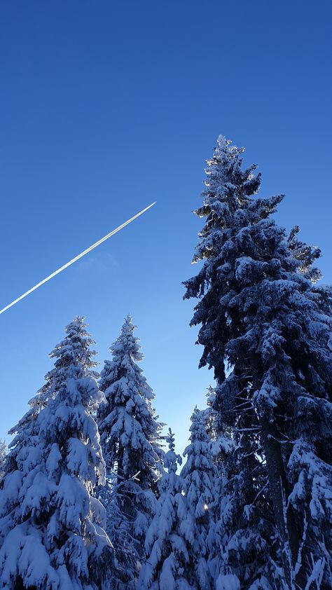 #winter #mountains #airplane #sky #aesthetic #vintage #blue #snow #tree #germany #austria #alps Aspen Trip, Austria Winter, Winter Mountains, Snow Tree, Christmas Wallpapers, Winter Aesthetic, Sky Aesthetic, Aesthetic Vintage, Christmas Wallpaper