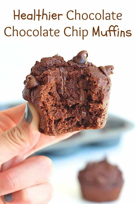 Healthier Chocolate Chocolate Chip Muffins - made with whole wheat flour, greek yogurt, no butter or oil, and sweetened with all-natural flavored cane syrup. Chocolate Chocolate Chip Muffins, Healthy Chocolate Chip Muffins, Everyday Breakfast, Cane Syrup, Greek Yogurt Muffins, Yogurt Muffins, Chocolate Chip Muffin Recipe, Ice Cream Bites, Kid Snacks