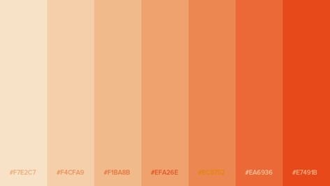 Pastel Orange Hex Code, Tangerine Color Palette, Pantone Orange, Rgb Color Codes, Orange Palette, Orange Shades, Color Design Inspiration, Orange Color Palettes, Hex Color Palette