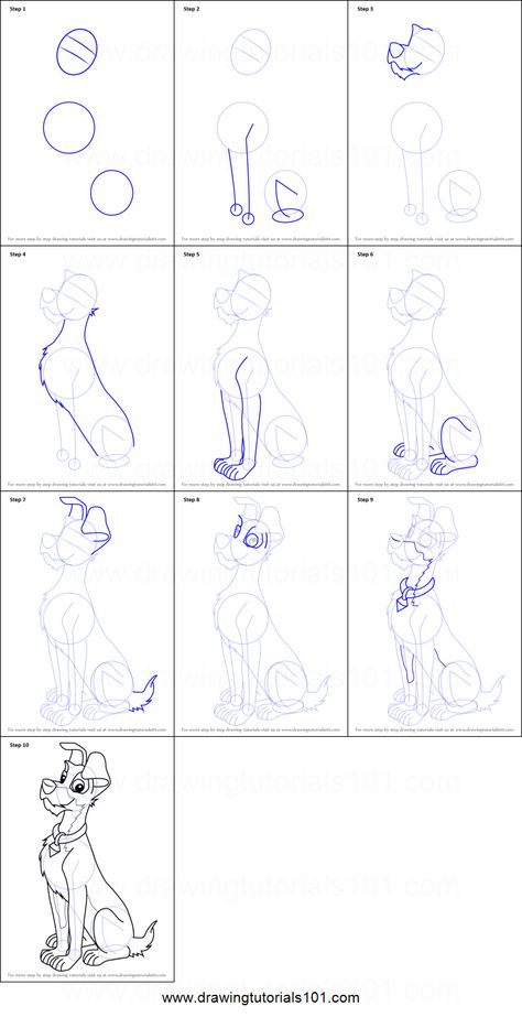 Disney Character Sketches, Lady And The Tramp Lady, Disney Drawing Tutorial, Male Protagonist, Drawing Crafts, Disney Character Drawings, Disney Drawing, Easy Disney Drawings, Cartoon Drawing Tutorial