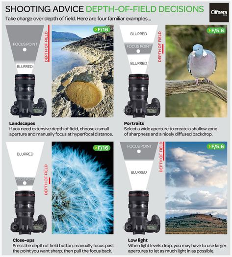 Photography cheat sheet: Depth-of-field decisions | Digital Camera World Photography Infographic, Photography Cheat Sheet, Depth Of Field Photography, Manual Photography, Digital Photography Lessons, Dslr Photography Tips, Photography Settings, Photography Cheat Sheets, Camera World