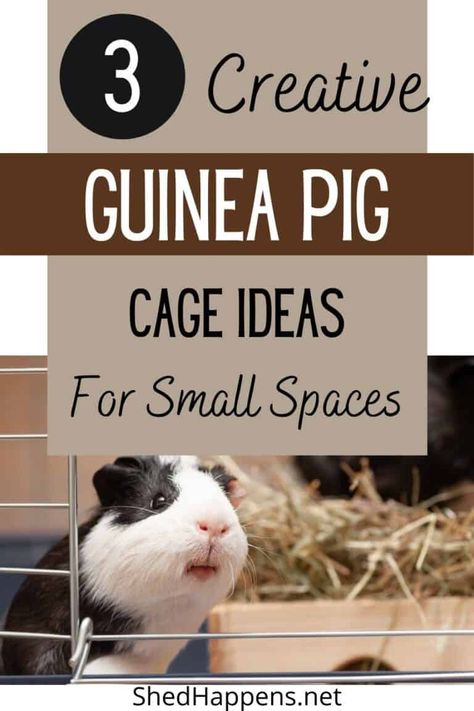 Guinea Pig Cage Ideas for Small Spaces – Shed Happens Homemade Guinea Pig Cage, C C Guinea Pig Cage, Guinea Pig Cage Ideas, Diy Guinea Pig Toys, Guinea Pig Supplies, Indoor Guinea Pig Cage, Guinea Pig Run, Pig Habitat, Guinea Pig Diet