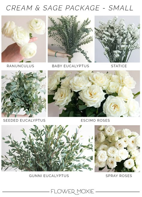 Cream and Sage DIY Kits | DIY Wedding Flowers | Flower Moxie Playful Wedding, Lilac Wedding Bouquet, Fresh Wedding Flowers, Wedding Classy, Sage Wedding, Lilac Wedding, Sage Green Wedding, Dusty Blue Weddings, Diy Wedding Flowers