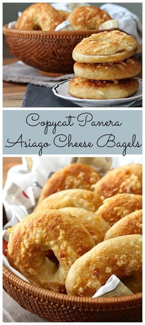 Copycat Panera Bread, Panera Recipes, Copycat Panera, Cheese Bread Recipe, Cheese Bagels, Bread Cheese, Asiago Cheese, Bagel Recipe, Panera Bread