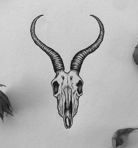 Animal Skull Drawing, Animals With Horns, Skull With Horns, Art Advertising, Capricorn Tattoo, Goat Horns, Goat Skull, Knee Tattoo, Skull Tattoo Design