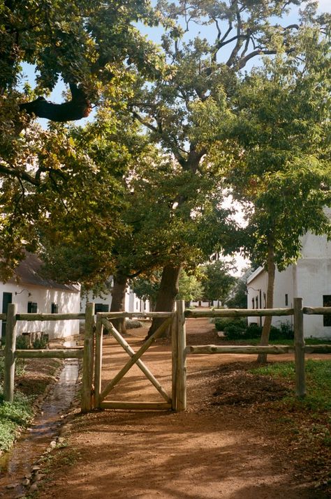 South Africa Farmhouse, Babylonstoren South Africa, Cape Dutch Architecture, Outside Architecture, Fruit And Vegetable Garden, Farm Fruit, South African Homes, White Mosaic Tiles, Cape Of Good Hope