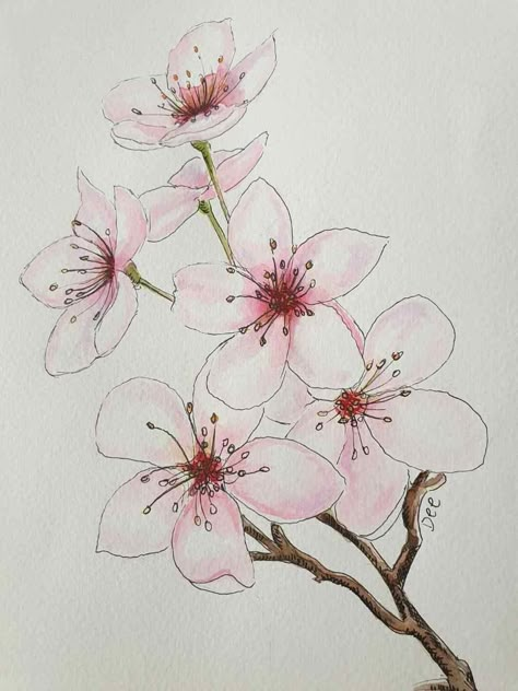 Cherry Blossom Drawing, Textile Art Quilt, Watercolor Painting Ideas, Branch Drawing, Blossom Watercolor, Tips For Painting, Cherry Blossom Watercolor, Cherry Blossom Painting, Cherry Blossom Art