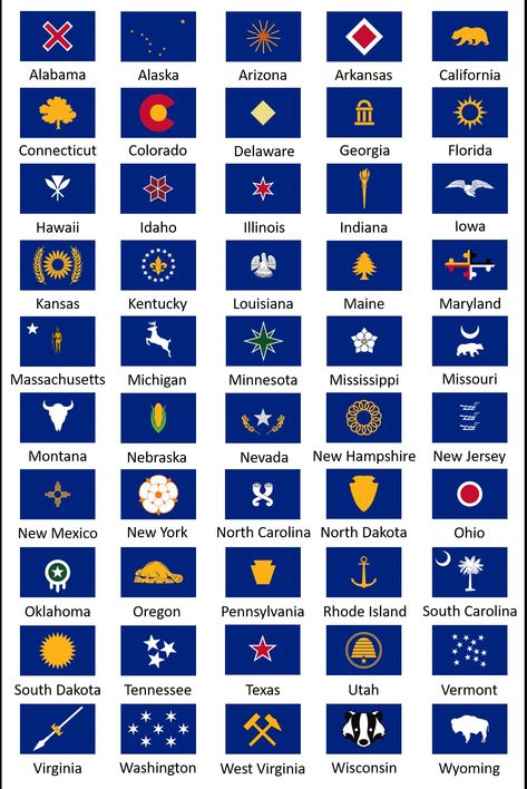 Blue Bedsheet, Flag Redesign, Earth Flag, Us States Flags, South Carolina Flag, Historical Flags, U.s. States, Writing Resources, State Flags