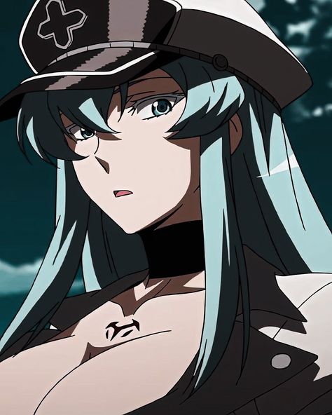 Anime Wednesday, Esdeath Icon, Anime For Life, Manga Cartoon, Akame Ga, Hair, Anime, Blue