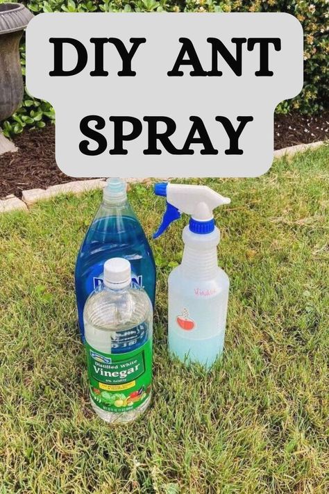 #gardeninghacks #gardentips #gardening Ant Killer Natural, Natural Ant Repellant, Diy Ant Killer, Ant Killer Spray, Home Remedies For Ants, Ant Remedies, Ants In Garden, Ant Killer Recipe, Homemade Ant Killer