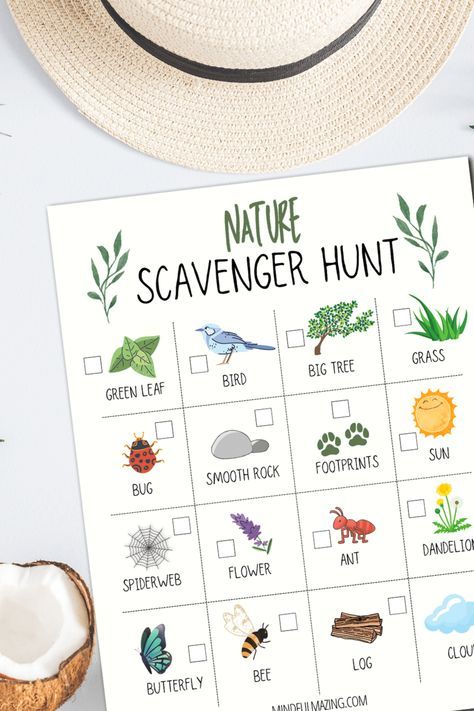 Outdoor Scavenger Hunt Ideas For Kids Free Printable, Bug Scavenger Hunt Free Printable, Hiking Scavenger Hunt For Kids, Forest Homeschooling, Nature Trail Scavenger Hunt, Toddler Scavenger Hunt, Color Scavenger Hunt, Nature Scavenger Hunt For Kids, Nature Scavenger Hunt Printable