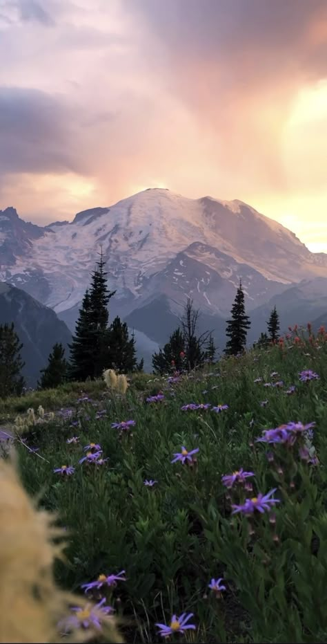 Mountains Vision Board, Rocky Core Aesthetic, Washington State Wallpaper, Pnw Aesthetic Wallpaper, Pnw Wallpapers, Mountain Top Aesthetic, Washington Forest Aesthetic, Washington Coast Aesthetic, Pnw Summer Aesthetic