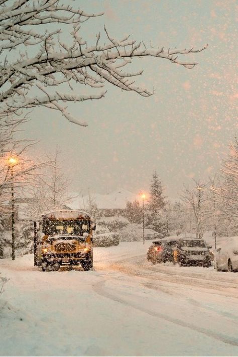 I Love Snow, Winter Schnee, Snow Pictures, I Love Winter, Street Lights, Winter Love, Winter Magic, Winter Scenery, Winter Beauty