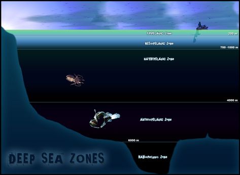 deep Midnight Zone Ocean, Hadal Zone, Sea Pictures, Ocean Depth, Oceanography, Animal Habitats, Ocean Wallpaper, Biome, Deep Water