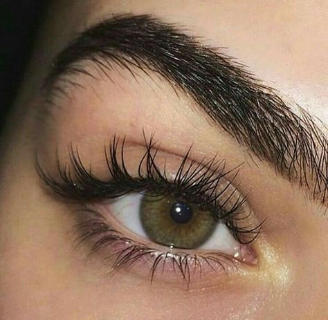 N.I.C.O.L.E | @GXLDEN22 Long Eyelashes Aesthetic, Eyelashes Aesthetic, Aesthetic Lashes, Natural Long Eyelashes, Hazel Green Eyes, Beautiful Eyes Color, Pretty Brown Eyes, Long Eyelashes, Eye Photography