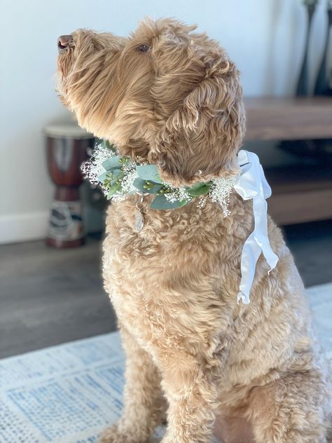 Dog wedding cake