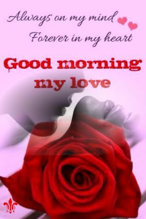 Happy Rose Day My Love, Good Morning Handsome Quotes, Morning My Love, Happy Rose Day, Romantic Good Morning Quotes, Romantic Good Morning Messages, Sweetheart Quotes, Good Morning Handsome, Good Morning Love Gif