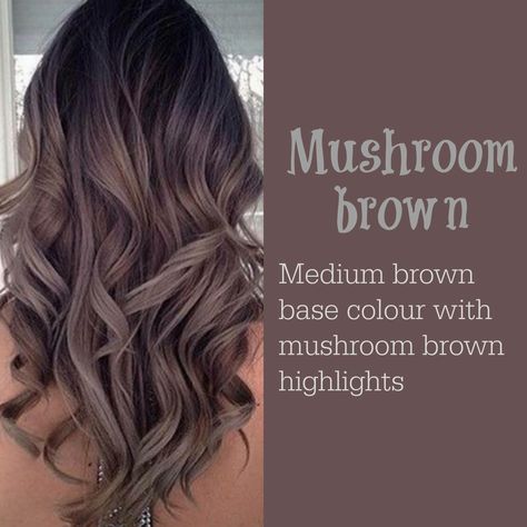 Mushroom Brown Hair Color 2017, Mushroom Hair, Mushroom Brown, Brown Hair Balayage, Ombré Hair, Winter Hair Color, Brown Highlights, Hair Color And Cut, New Hair Colors