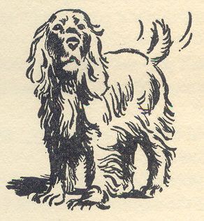 Vintage Dog Tattoo, Vintage Dog Illustration, M Tattoos, Western Tattoos, Vintage Drawing, Dog Logo, Dog Tattoo, Vintage Tattoo, Dog Illustration