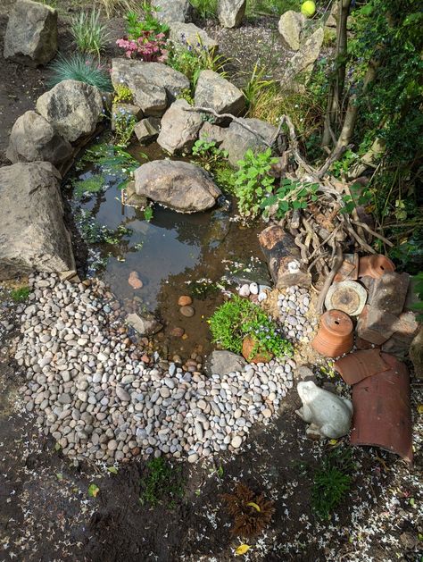 Small Wildlife Pond Ideas Uk, Small Wild Garden, Small Garden Wildlife Pond, Allotment Pond, Front Yard Pond, Small Wildlife Pond, Toad Pond, Small Garden Pond, Small Pond Ideas