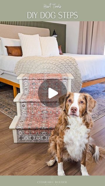 Dog Steps For Bed Diy, Diy Dog Steps For Bed, Dog Bed Steps, Diy Dog Steps, Dog Steps For Bed, Bed Steps, Diy Dog Bed, Dog Ramp, Pet Steps