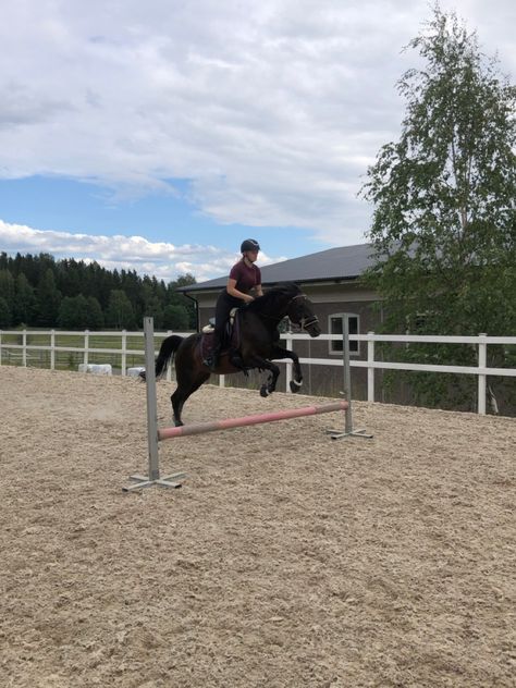 Some small jumps in the arena #horse #jumping #showjumping #thoroughbred #arena #aesthetic #fashion Horse Jumping Small Jumps, Arena Aesthetic, Sarah Stone, Equestrian Jumping, Horse Barn Designs, Horse Story, Equestrian Aesthetic, My Horse, Barn Design