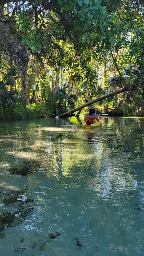 Kings Landing Apopka Florida #kayaking #kayaklife #jungle #nature | Julia Fontera | Steppenwolf · Born To Be Wild Florida Kayaking, Apopka Florida, Kings Landing, Jungle Nature, King's Landing, Born To Be Wild, Kayaking, Florida, Nature