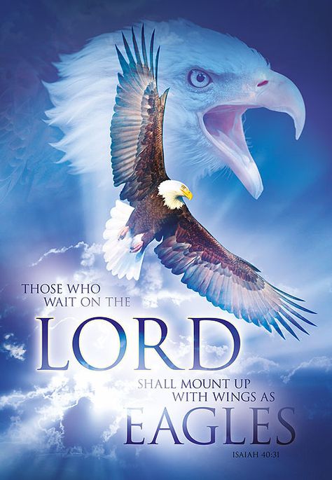 Christian Posters on Behance Wait On The Lord, Aigle Royal, Woord Van God, Wait Upon The Lord, Eagle Flying, Eagles Wings, Eagle Pictures, Isaiah 40 31, Prophetic Art