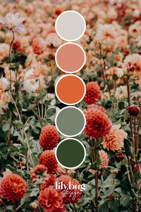 Floral Colour Palette, Color Schemes Colour Palettes, Color Palette Design, Color Inspo, Colour Board, Paint Colors For Home, Colour Palettes, Color Wheel, Colour Schemes