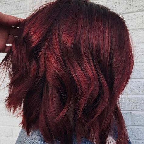 Photos Of Mulled Wine Hair Color Prove It's The '90s Meets Holiday Perfection Winter Hair Trends, Wine Hair Color, Wine Hair, Redken Hair Products, Redken Shades, Hair Gloss, Hair Color Burgundy, Redken Shades Eq, Burgundy Hair