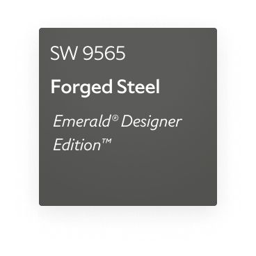 Sw Forged Steel, Sherwin Williams Forged Steel, Forged Steel Sherwin Williams, Steel Siding House, Steel Paint, Repose Gray, Narrow Lot House Plans, Neutral Paint Color, Neutral Paint