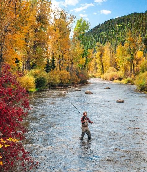 Montana Fishing, Fly Fishing Tips, Bowfishing, Crappie Fishing, Dude Ranch, Rock Creek, Fishing Guide, Fishing Adventure, Lake Fishing