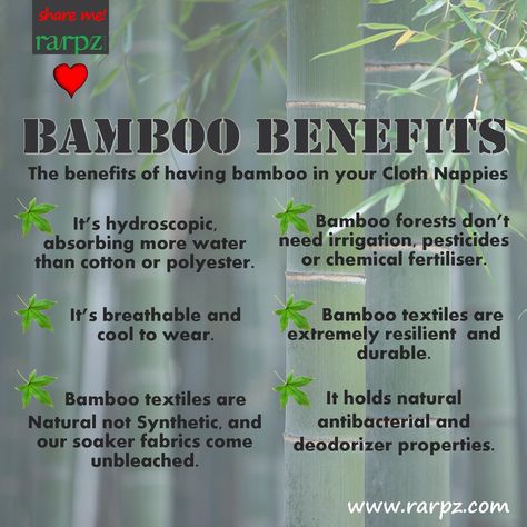 Bamboo Benefits, Allotment Planning, Therapy Garden, Palm Tree Types, Bee Hive Plans, Bamboo Diy, Save Planet Earth, Cloth Nappy, Bamboo Decor