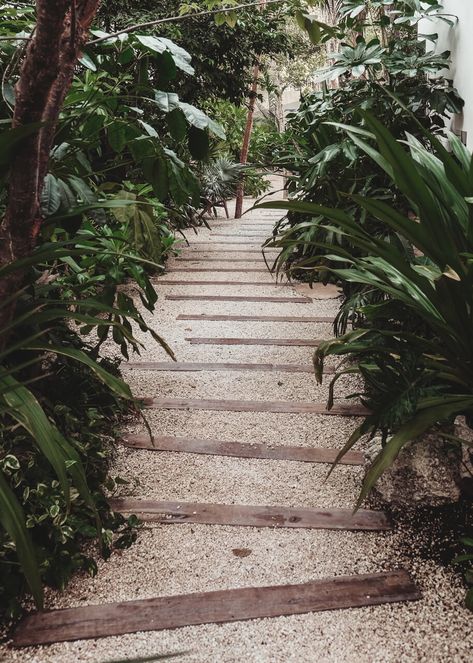 Tulum Landscaping, Tulum Resort Design, Tulum Garden Design, Tulum Mexico Interior Design, Jungle Garden Design, Tulum Landscape, Tulum Bathroom, Tulum Garden, Tulum Architecture