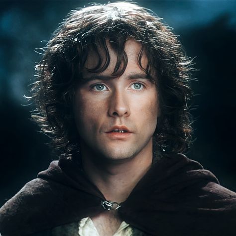 Pippin Lord Of The Rings, Pippin Took Aesthetic, Merry Lord Of The Rings, Pippin Took, Lotr Pippin, Lord Of The Rings Pippin, Merry Lotr, Lord Of The Rings Hobbits, Lotr Dwarves