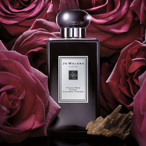 Velvet Rose & Oud Cologne Intense - Jo Malone London | Sephora Velvet Rose And Oud, Jo Malone Perfume, Oud Perfume, Perfume Photography, Velvet Rose, Fragrance Set, Best Perfume, Jo Malone London, Luxury Perfume