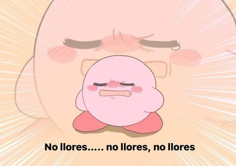 Kirby Memes Funny, Kirby Random, Kirby Meme, Kirby Memes, Kirby Character, Kirby Art, Silly Images, Cute Memes, Cartoon Profile Pics