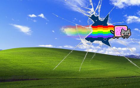 Nyan Cat Wallpapers, Microsoft Wallpaper, Net Wallpaper, Wallpaper Windows, Black And Blue Wallpaper, Cat Wallpapers, 90s Wallpaper Hip Hop, Cat Background, Windows Wallpaper