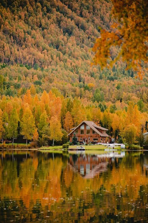 A Fall Cabin On Mirror Lake In Alaska Fall Cabin, North Carolina Cabins, Cozy Winter Cabin, Scandinavian Cabin, Carolina Do Norte, Treehouse Cabins, Cabin Aesthetic, Forest Cabin, Beautiful Cabins