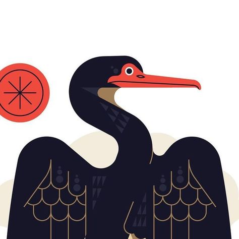 Nick Slater on Instagram: "Animals: Cormorant  #illustration #birds #cormorant #vectorart" Bird Illustration Vector, Nick Slater, Bird Illustration, July 1, Vector Art, Birds, Animals, On Instagram, Instagram