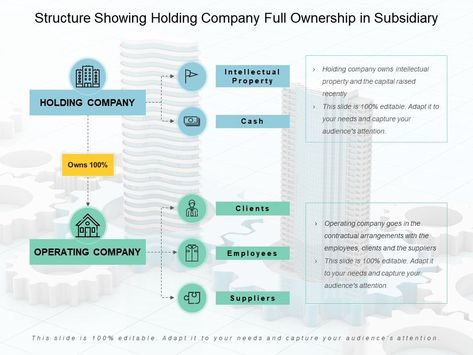 Holding Company Structure, Company Structure Design, Presentation Graphics, Company Structure, Llc Business, Organization Development, Real Estate Training, Business Setup, Business Checklist