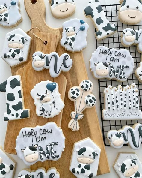 Cookies~Kare~(like Care) 🇨🇦🍪 on Instagram: "Holy Cow someone turned 1! 🐮 . Number 1, Stoneybrook Trail plaque, double hexagon and giraffe turned cow cutter from @_emmas__sweets . . . #decoratedcookie #cookiesofinstagram #cookieart #cookiedecorating #foodphoto #royalicingcookies #sugarcookies #baking #icingcookies #oakvillecookies #cookieideas #decoratedcookies #icedcookies #royalicing #shortbreadcookies #customcookies #cookies #cookieinspo #cookiegram #thisweekoninstagram #cowcookies #birthd Cow Cookies, First Birthday Cookies, Cow Birthday Parties, Farm Cookies, Barnyard Birthday Party, Boys 1st Birthday Party Ideas, Cookies Theme, Cowboy Birthday Party, Cow Birthday