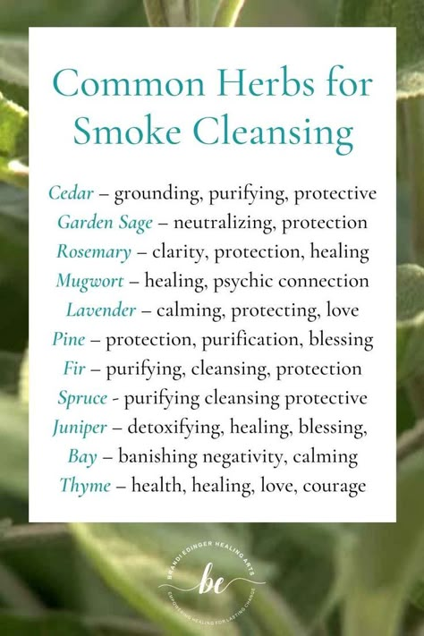 Smoke cleansing involves burning various herbs to cleanse a space, eliminate negative energy, create a sacred environment, and more. Cedar, Sage, Rosemary, Lavender, Mugwort, Pine, Fir, Spruce, Juniper, Bay, Thyme are some common herbs used Herbs By Intention, Juniper Sage Benefits, Burning Rosemary Witchcraft, Burning Herbs Witches, Negative Energy Cleanse Home Burning Sage, Burning Rosemary Benefits, Herbs To Burn In Your Home, Burning Mugwort Benefits, Herbs For Cleansing And Protection